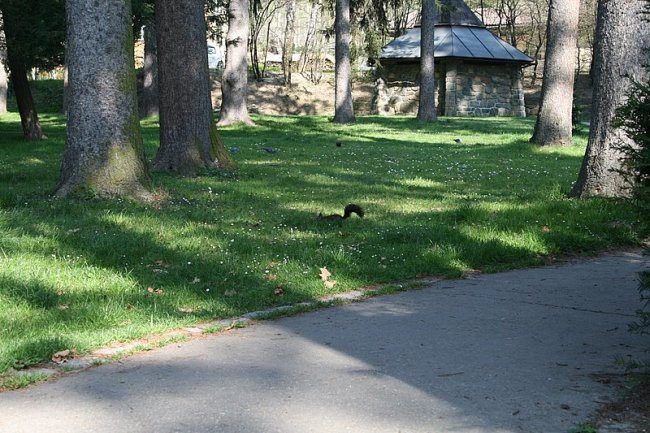 MARIBORSKI PARK - foto povečava