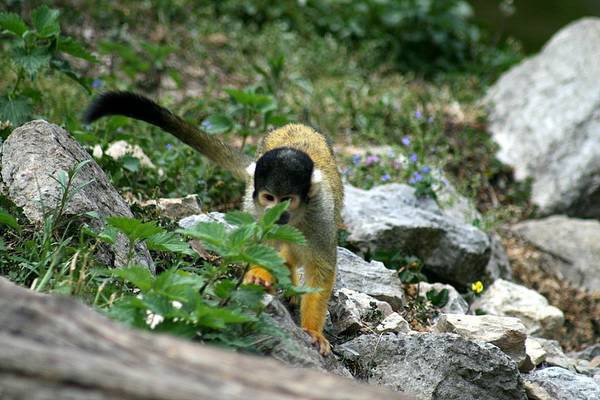 ZOO LJUBLJANA - foto