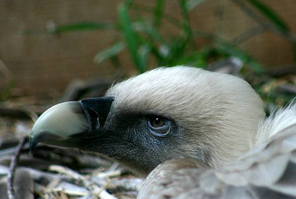 ZOO LJUBLJANA - foto