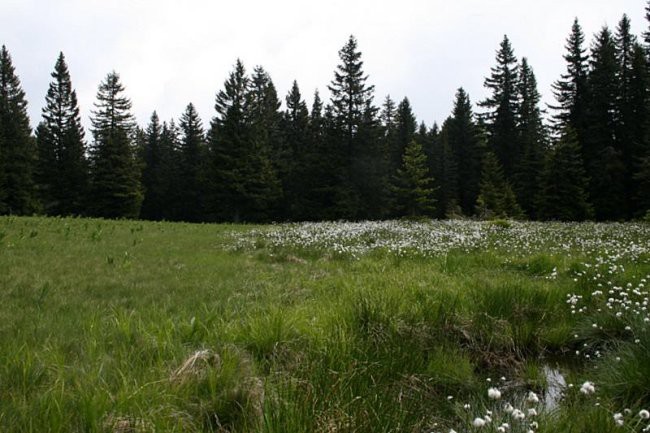 LOVRENŠKA JEZERA - foto povečava