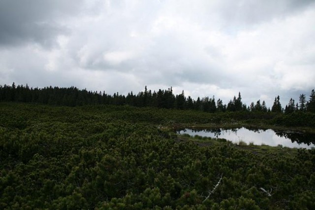 LOVRENŠKA JEZERA - foto