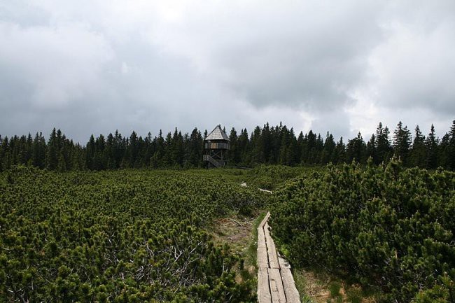 LOVRENŠKA JEZERA - foto povečava