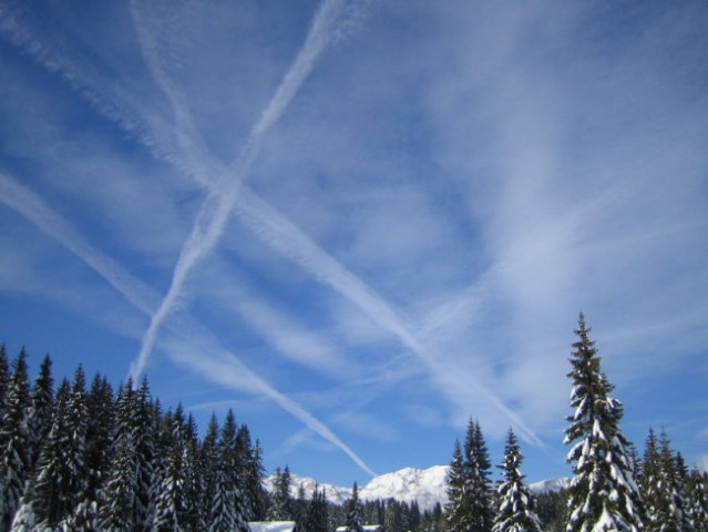 Pokljuka 2007 - foto