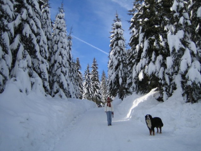 Pokljuka 2007 - foto