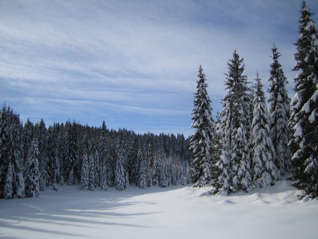 Pokljuka 2007 - foto povečava