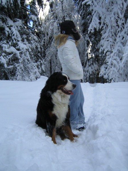 Pokljuka 2007 - foto