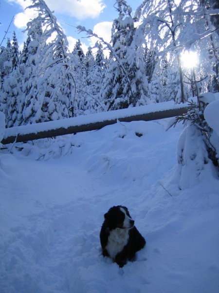 Pokljuka 2007 - foto