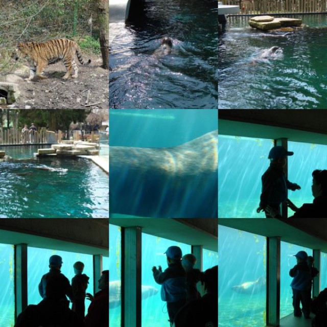 Živalski vrt Lj. 2008 - foto