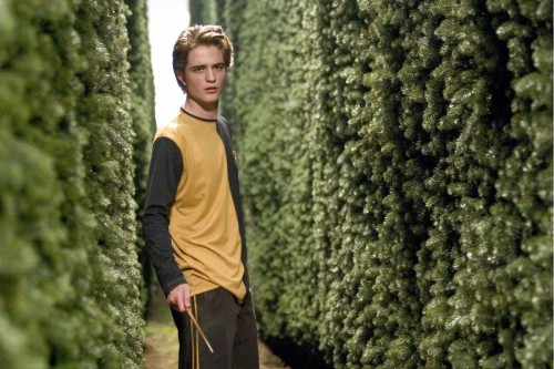 Cedric v labirintu