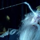 Dumbledore vleče spomin