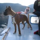 Tempo Vivace Amoteamo - 1st time on seaside & boat