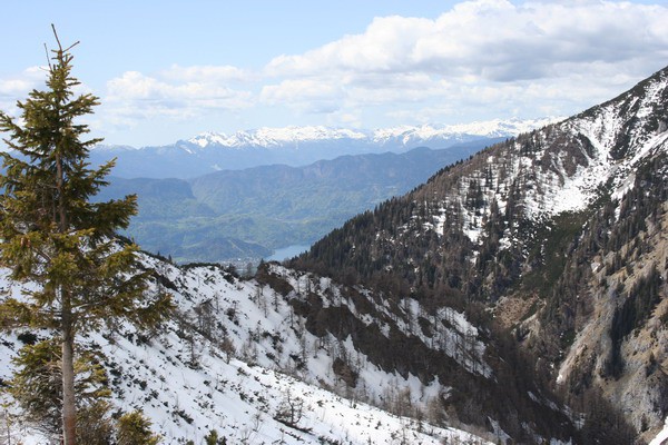 Blejsko jezero