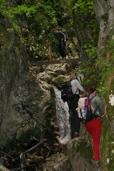 Celjski hribcki 30.5.09 - foto