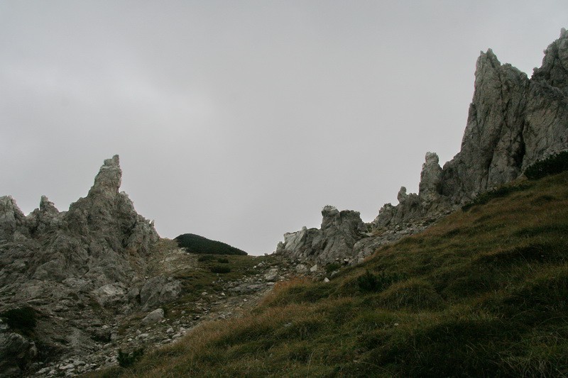 Visevnik 11.10.09 - foto povečava