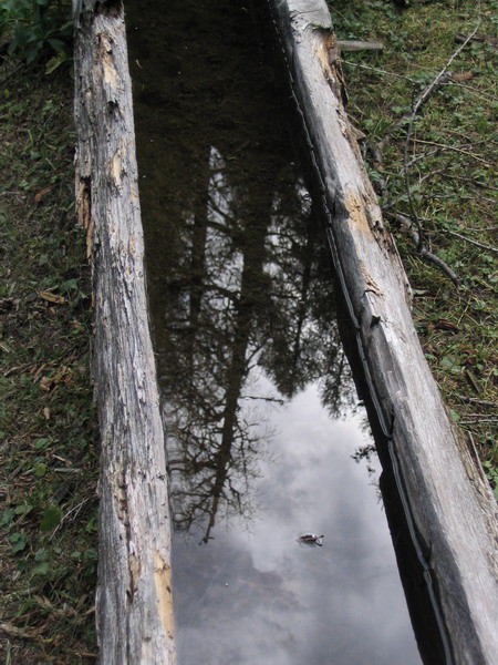 Dleskovška planota 07.10.06 - foto povečava