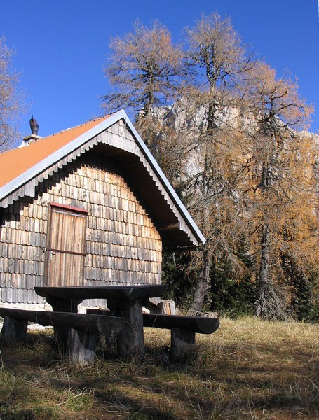 domek na samotni jasici