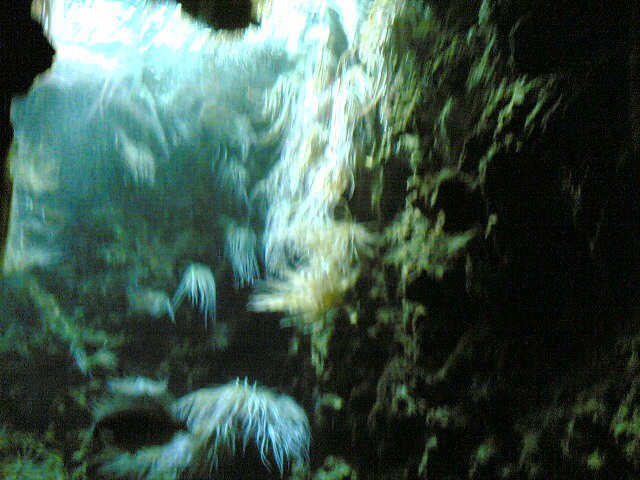 Akvarij na Rodous(2006) - foto povečava