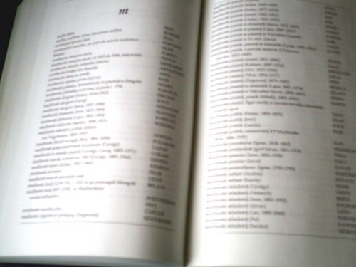 Veliki ugankarski slovar - foto