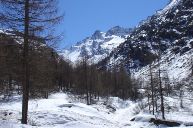 Gran Paradiso - foto