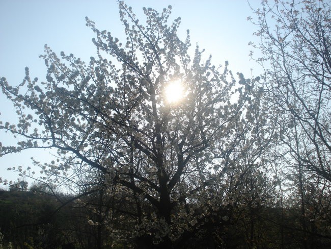 Ostale gluposti - foto povečava