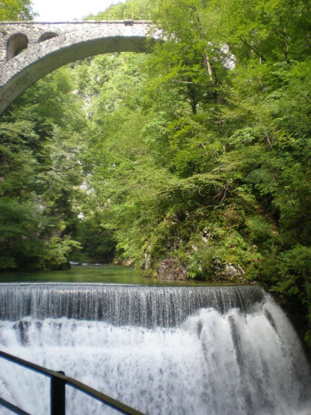 Bohinj - foto povečava