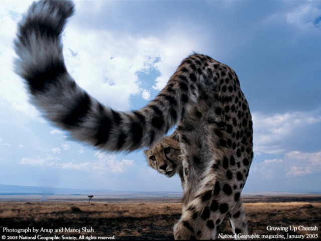 National Geographic - foto