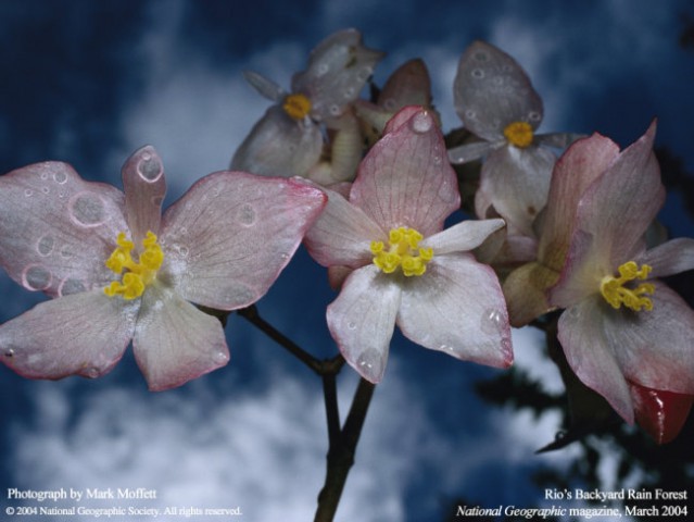 National Geographic - foto