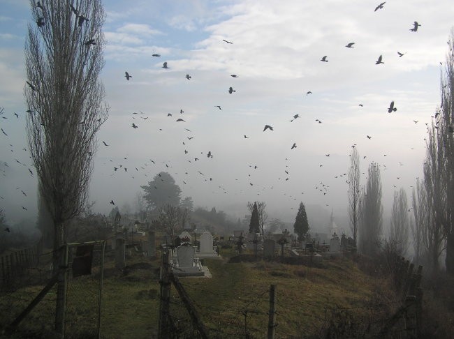 pokopališče v Transilvaniji