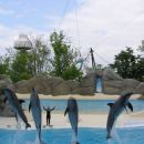 Gardaland delfini
