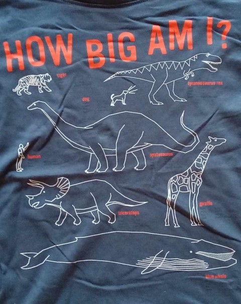 122-128-HM MAJČKA DINO