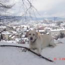 Roxy na snegu 2007