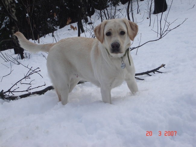 Roxy na snegu 2007 - foto povečava