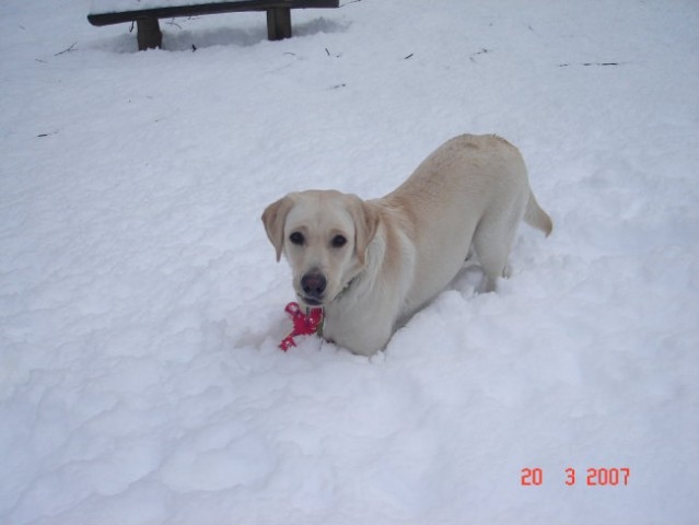 Roxy na snegu 2007 - foto