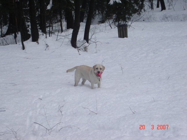 Roxy na snegu 2007 - foto povečava
