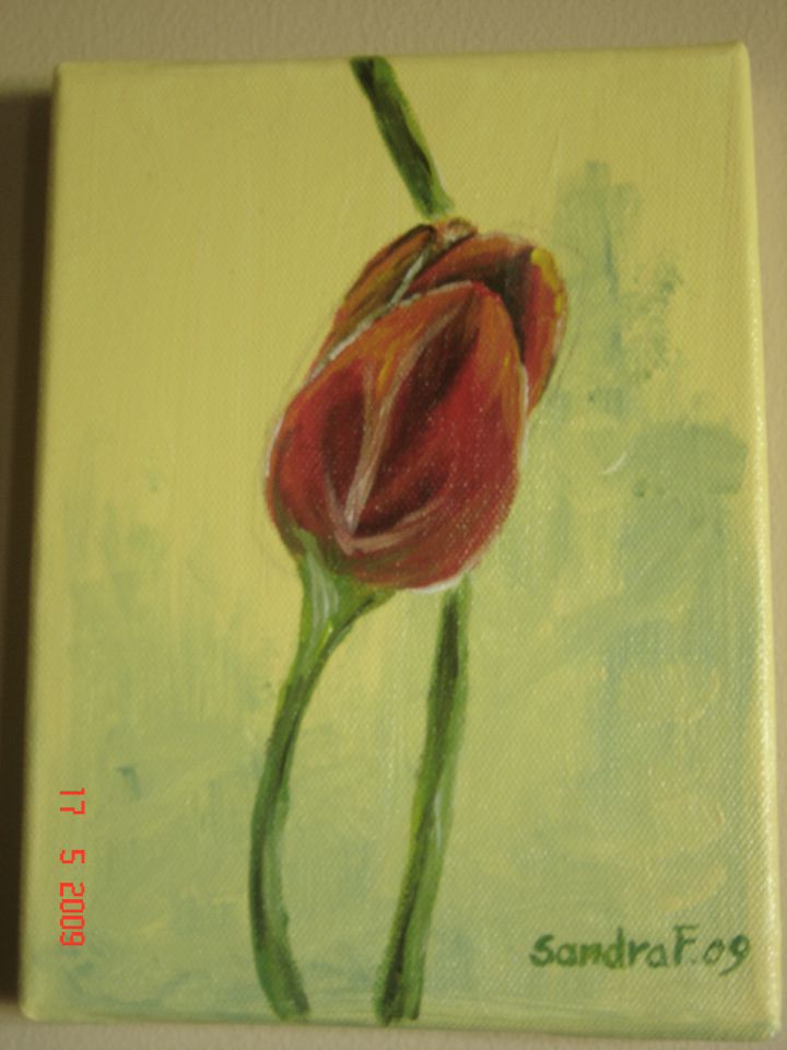 tulipan-akril