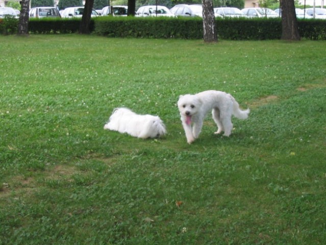 20.Junij.2007 - foto