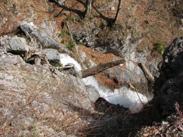 Gozd Martuljek april 2007 - foto
