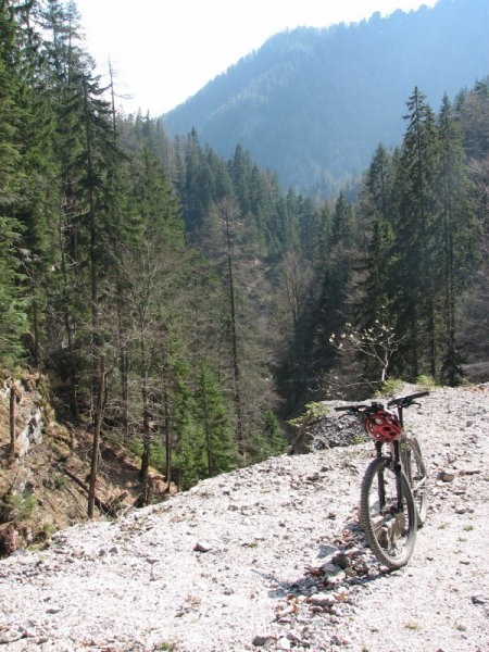 Gozd Martuljek april 2007 - foto povečava