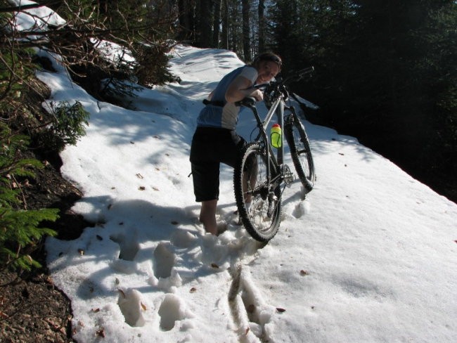 Gozd Martuljek april 2007 - foto povečava