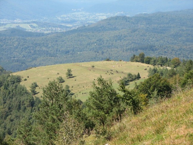 Slivnica 26.8.2007 - foto povečava