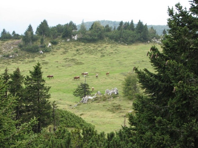 Mala Planina 25.8.2007 - foto povečava