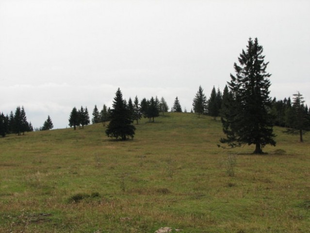 Mala Planina 25.8.2007 - foto