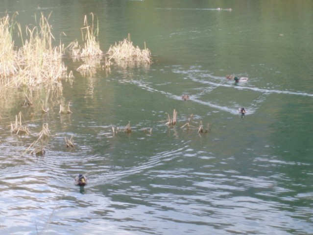 Preddvor in Jezersko 22.10.2007 - foto