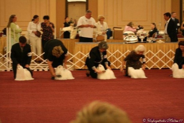 AMA National 2007- Regular classes - foto