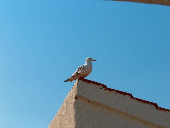 Ujeti utrinki - foto povečava