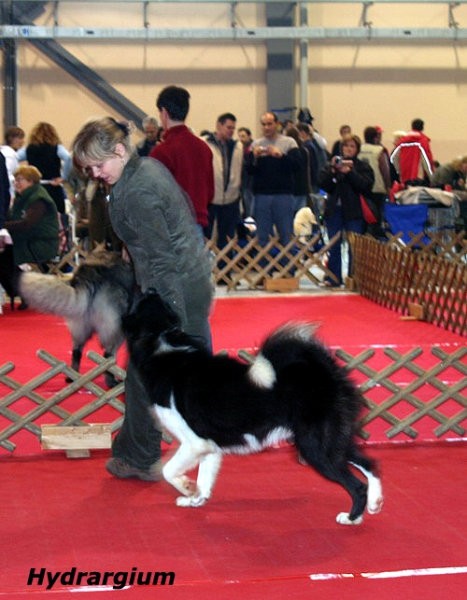 CAC Celje
10.12.2006;

BOB,
Winter Winner
