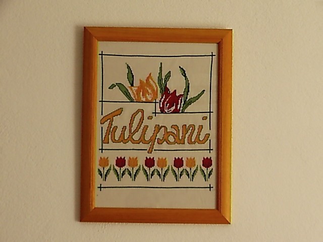 tulipani-slika