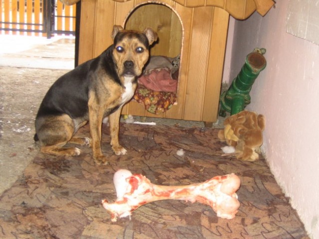 1. rojstni dan  - foto