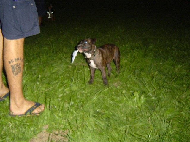 3.9.2006 - foto