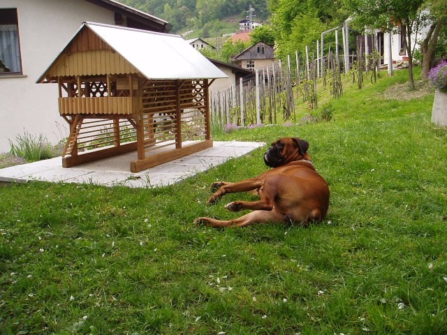OKSA V AKCIJI - foto